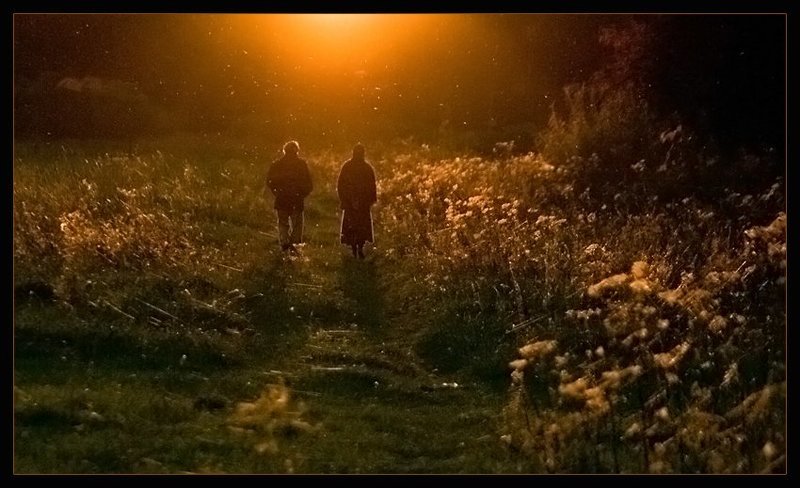 Вечерняя прогулка фото превью