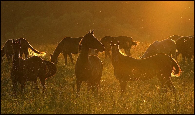 Вечер фото превью