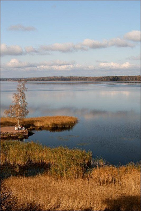 выборг парк монрепо Монрепо фото превью