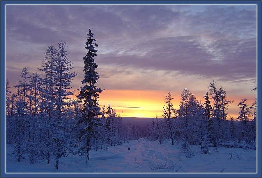 заря тайга зима, Солодухин Виктор
