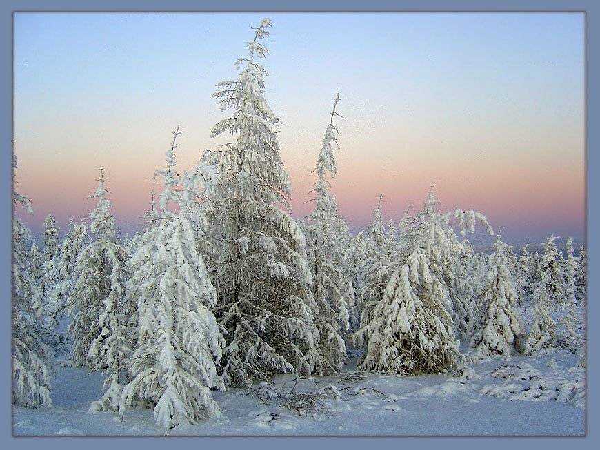 утро зима тайга, Солодухин Виктор