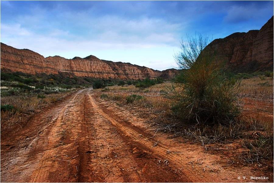 чарын, Вадько