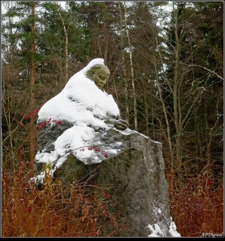 ленин в лесу Тепло ль тебе, дедушка? фото превью