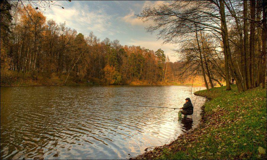 осень, рыбалка, царицыно, пейзаж, Владимир Эделев