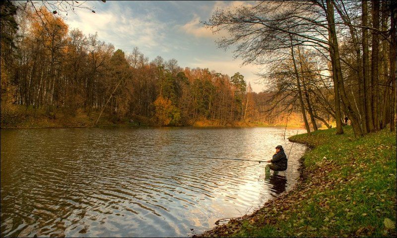 осень, рыбалка, царицыно, пейзаж [осенняя рыбалка] фото превью