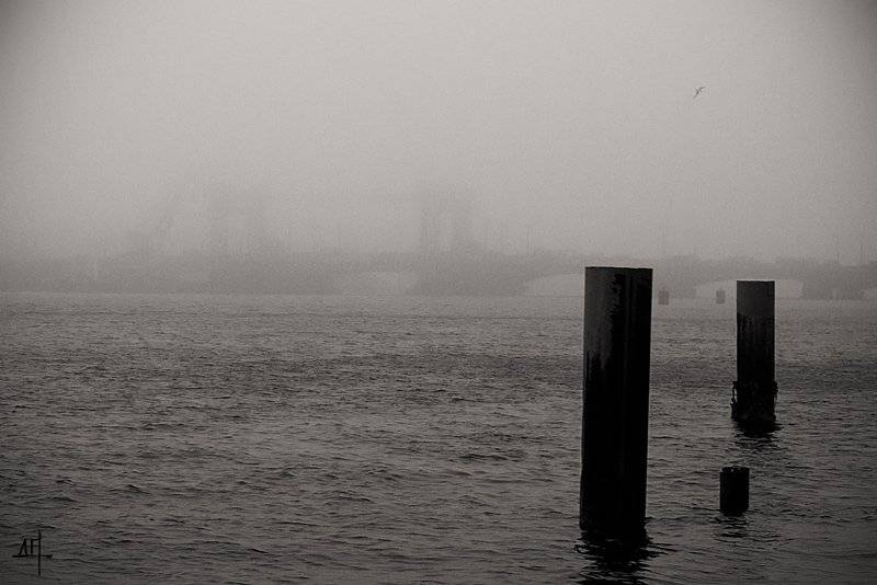 , Дмитрий Плотникофф