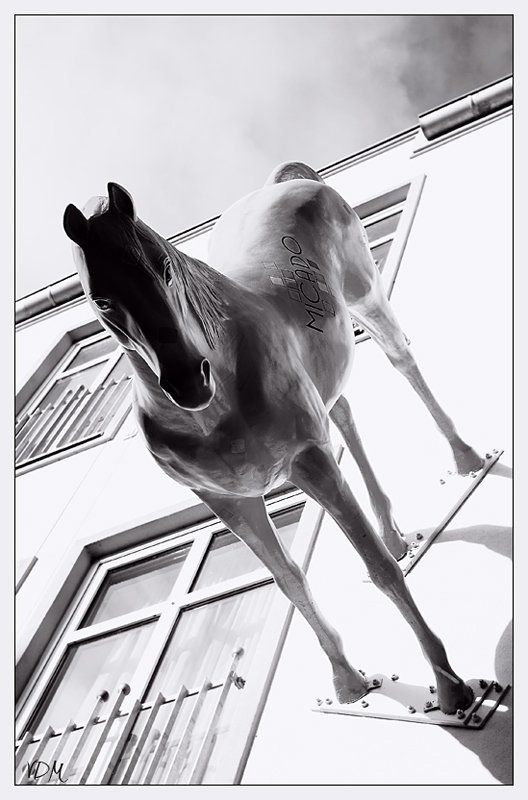 статуя Стеноконь фото превью