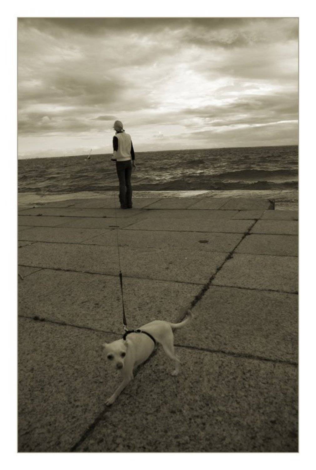 поводок, финский залив, Сергей Дужников