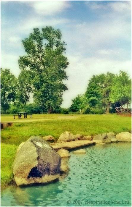 пейзаж, осень, лето, 35 мм, pilgrim, zeiss ikon contaflex iv, Pilgrim