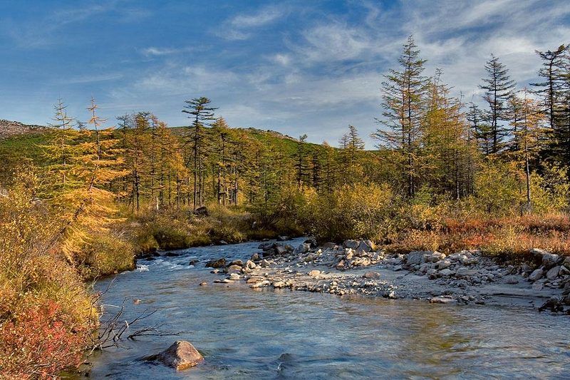 река лес осень магадан воспоминания об осени... фото превью