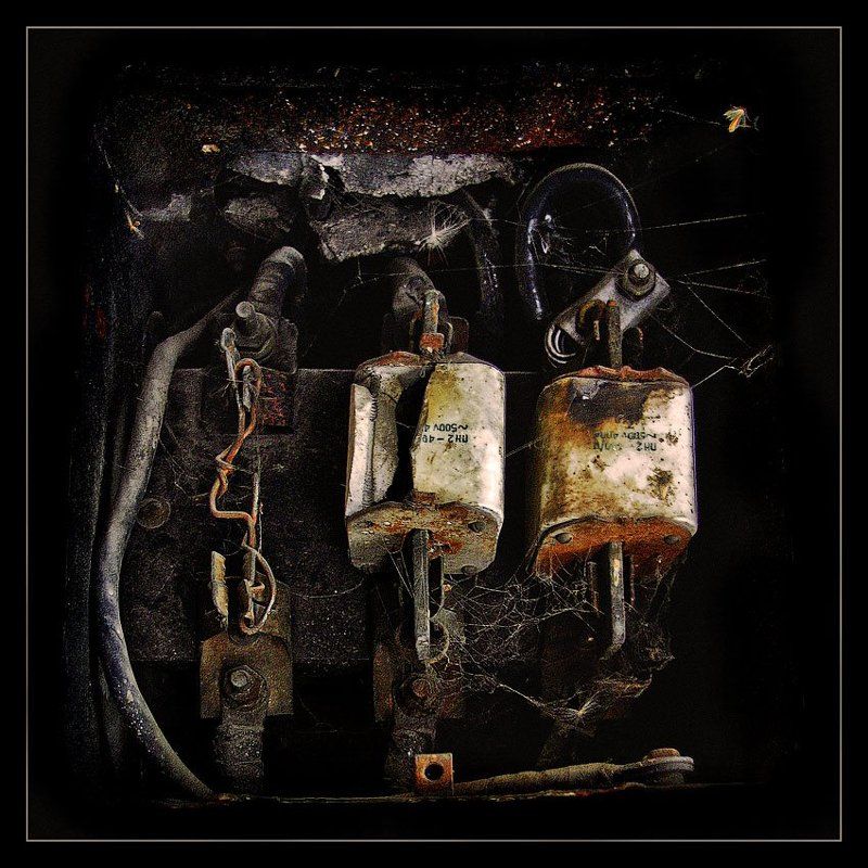 чубайс, жучок, предохранители Жучок фото превью