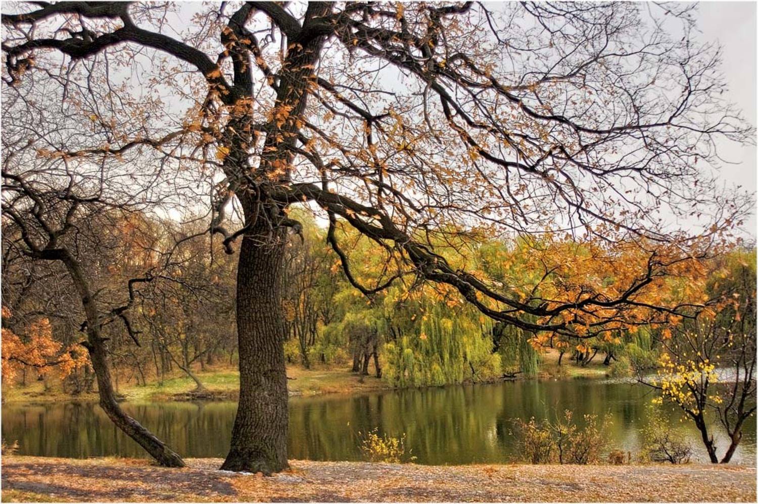 , Александр Батурский