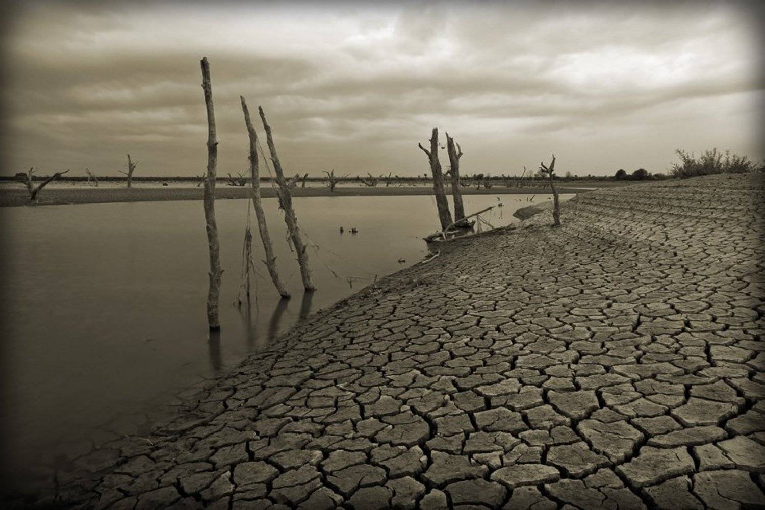 река, псекупс, засуха, северный, кавказ, адыгея, Alex Sheptl