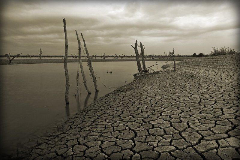 река, псекупс, засуха, северный, кавказ, адыгея Когда долго не идут дожди... фото превью