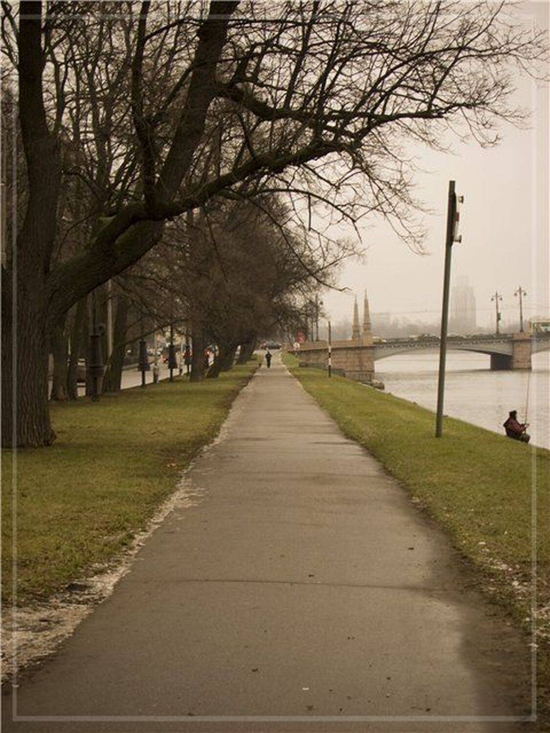 санкт-петербург, крестовский остров, набережная, аллея, giss