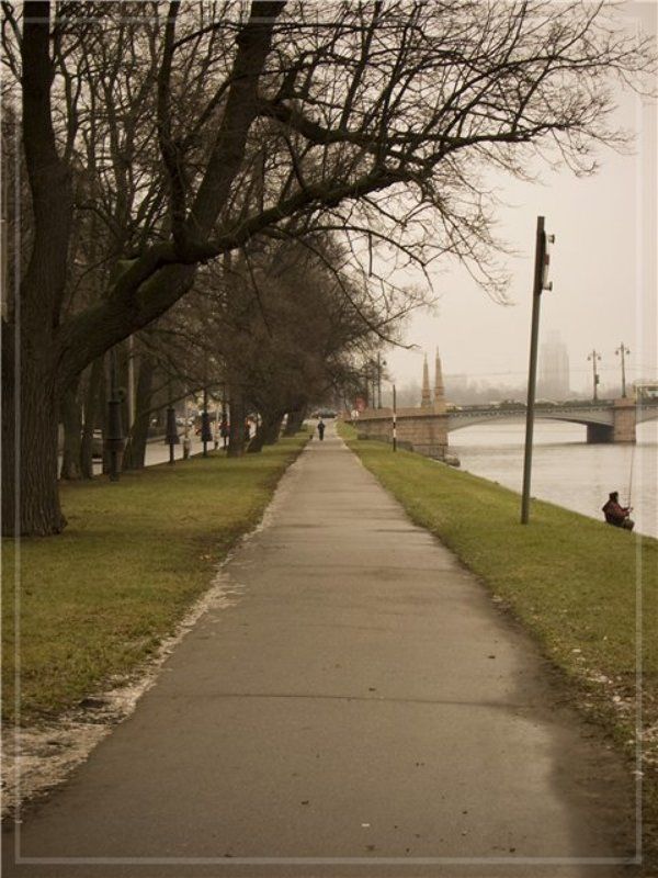 санкт-петербург, крестовский остров, набережная, аллея  фото превью