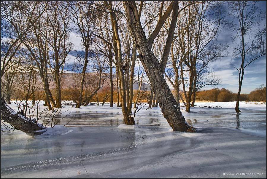 лед, каток, половодье, деревья, река, камчатка, Александр Лицис