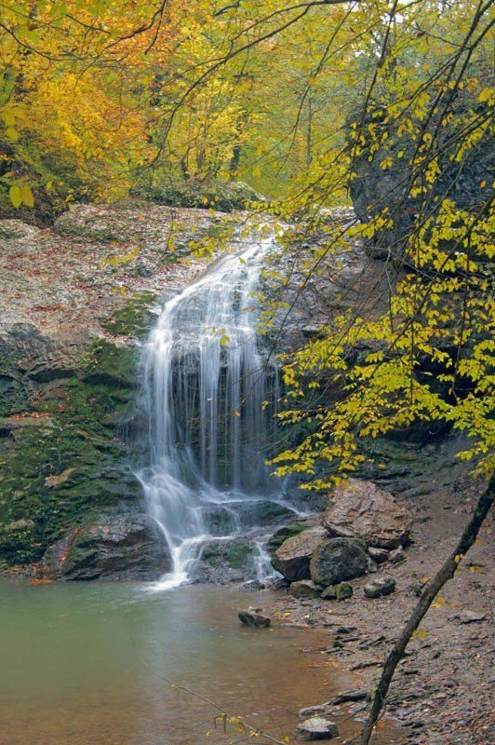 адыгея, руфабго, шум-1, VRoot