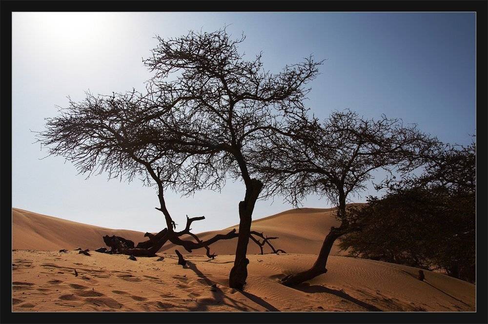 , Марина Кочетова