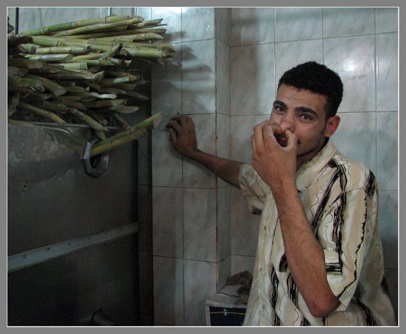 Тяжкий труд по изготовлению тростникового сока ))) фото превью