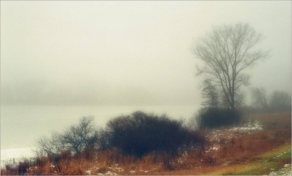 пейзаж, осень, пленка, 35 мм, pilgrim, contaflex, Pilgrim