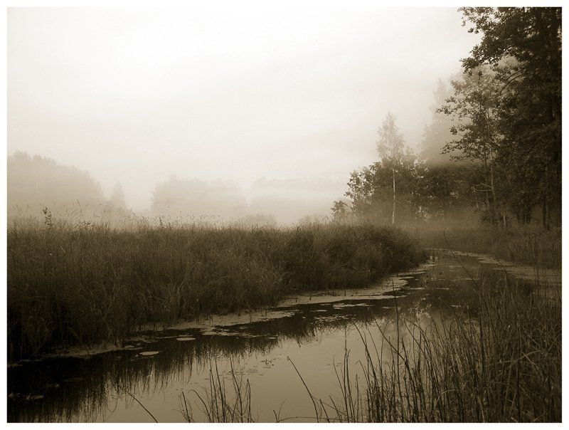р.люнда, туман, вечер над болотом туман фото превью