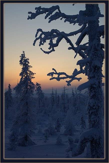 тайга заря зима заполярье, Солодухин Виктор