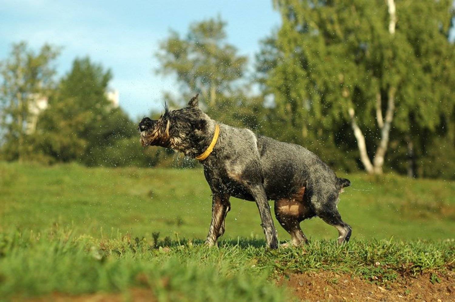 , Валерий Кочергин