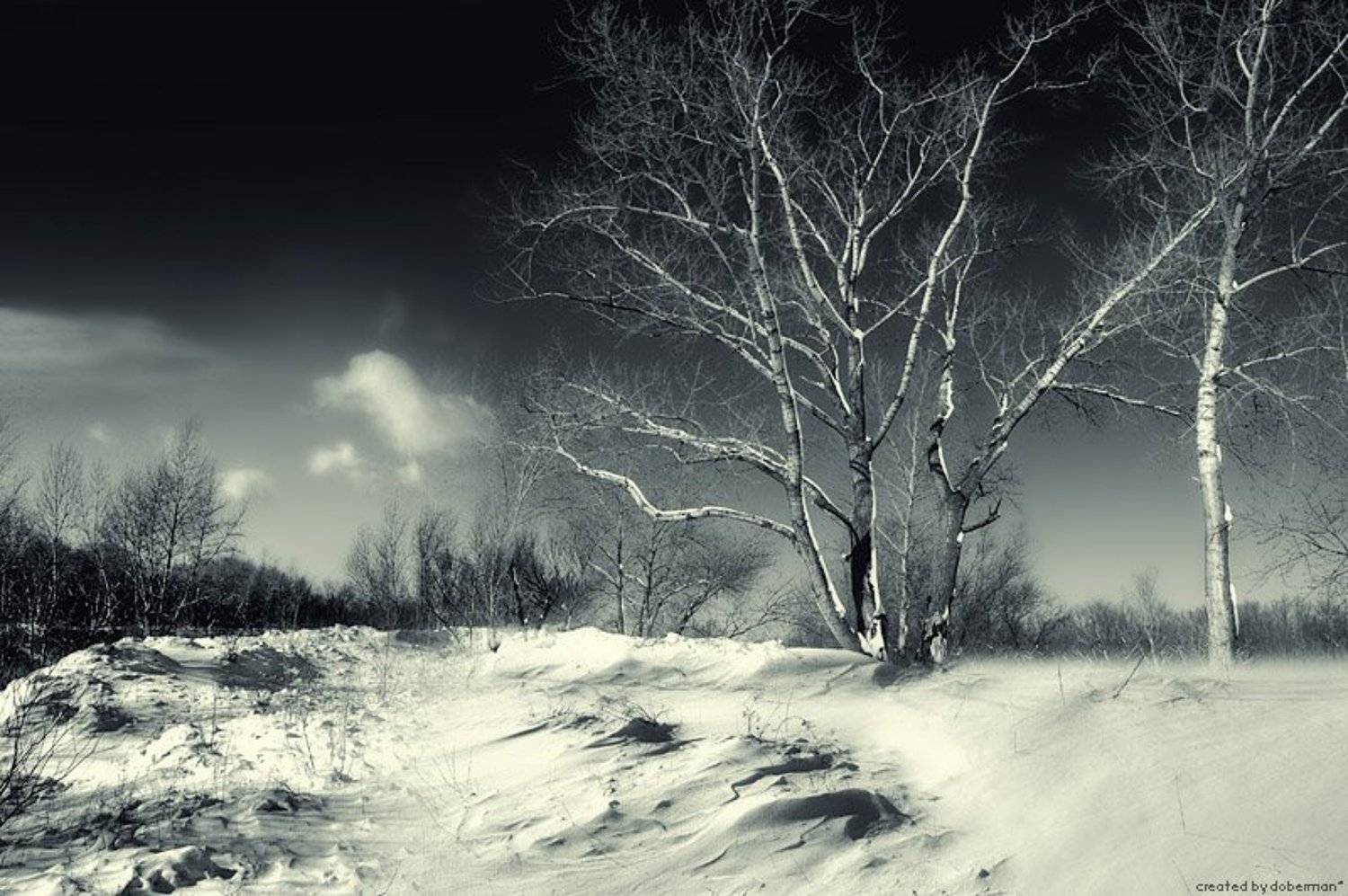 -15, зима, ветер, мороз, поземка, Денис Богомолов