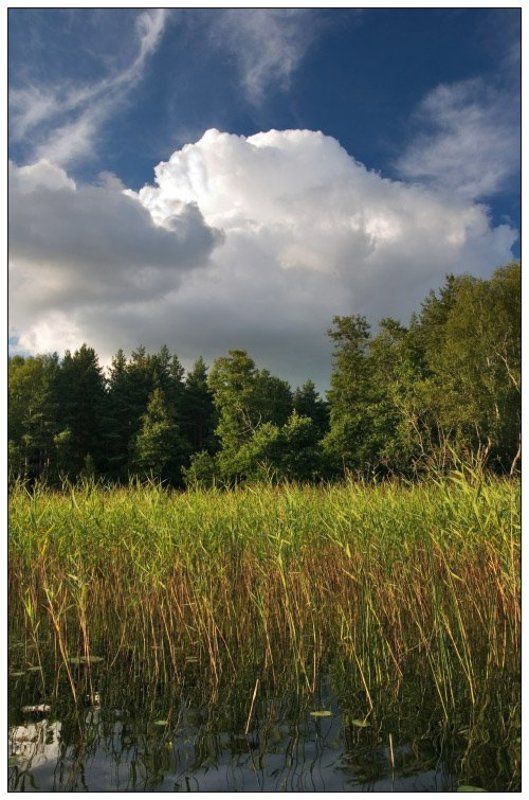 облака, селигер Селигерские зарисовки #2 фото превью