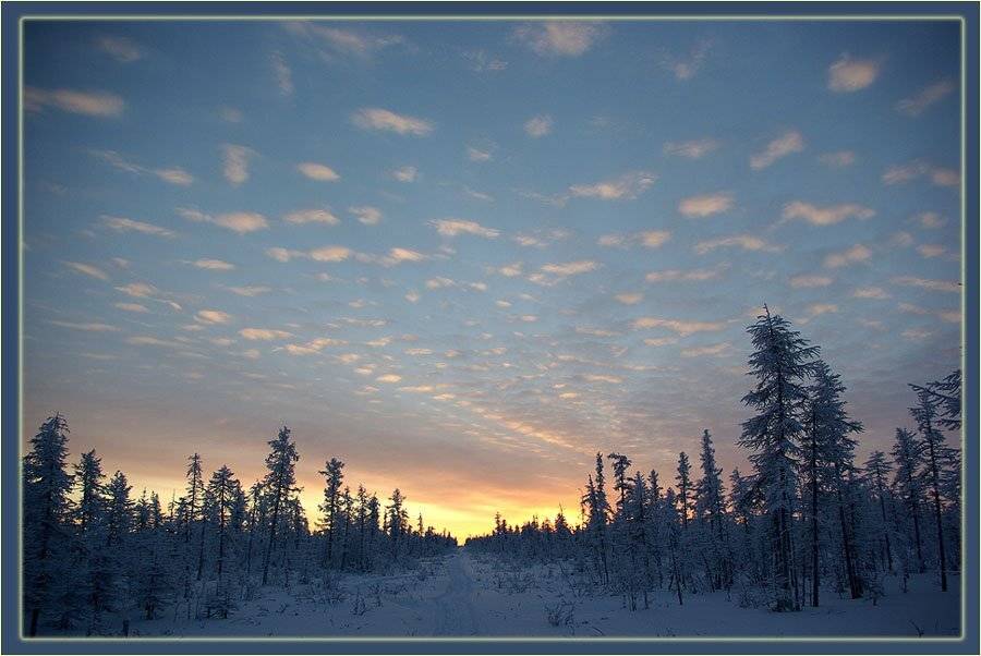 дорожка зима тайга заря, Солодухин Виктор