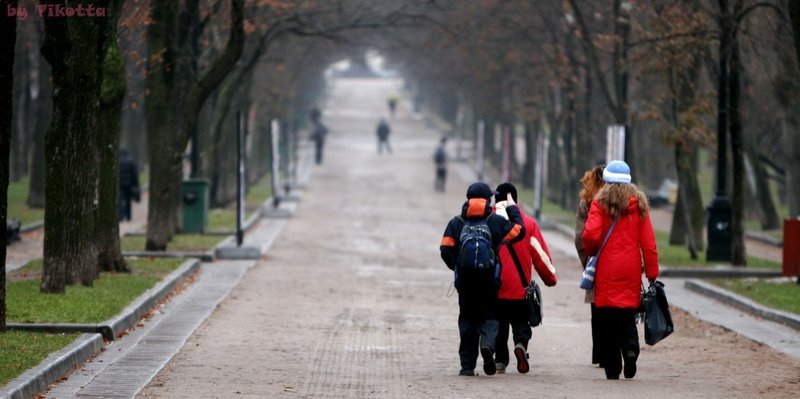 осень. фото превью