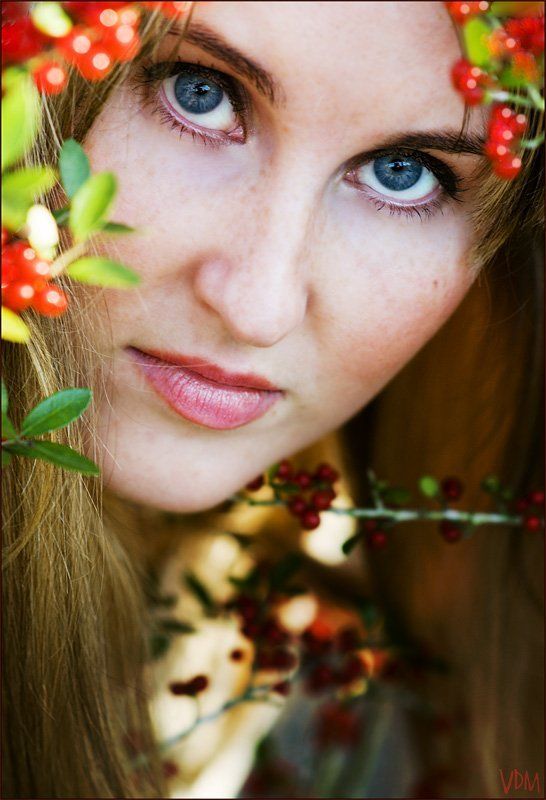 цвет Актриса Осень фото превью