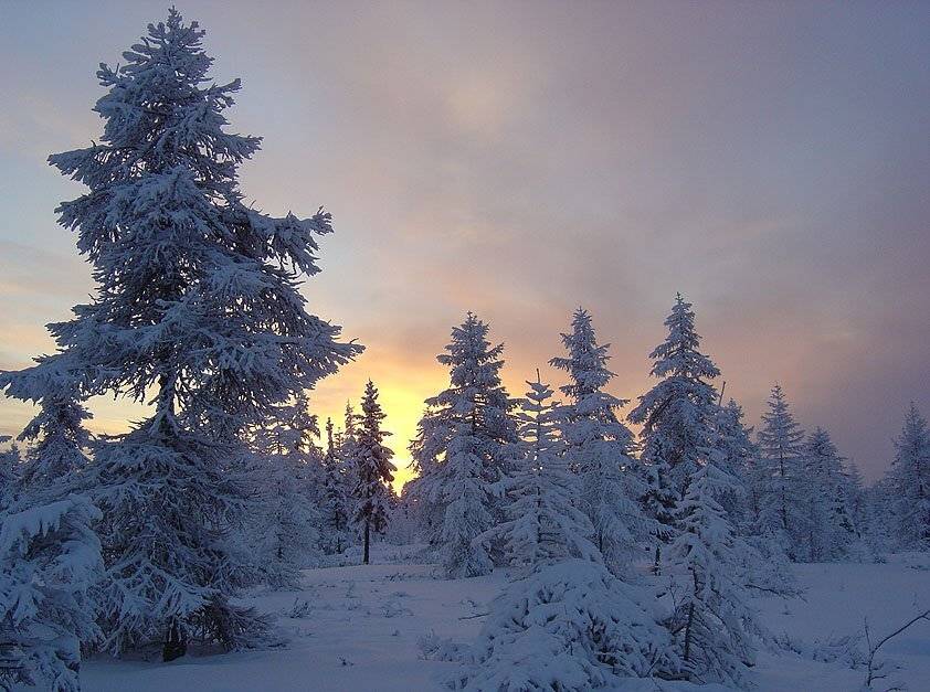 тайга заря зима заполярье, Солодухин Виктор