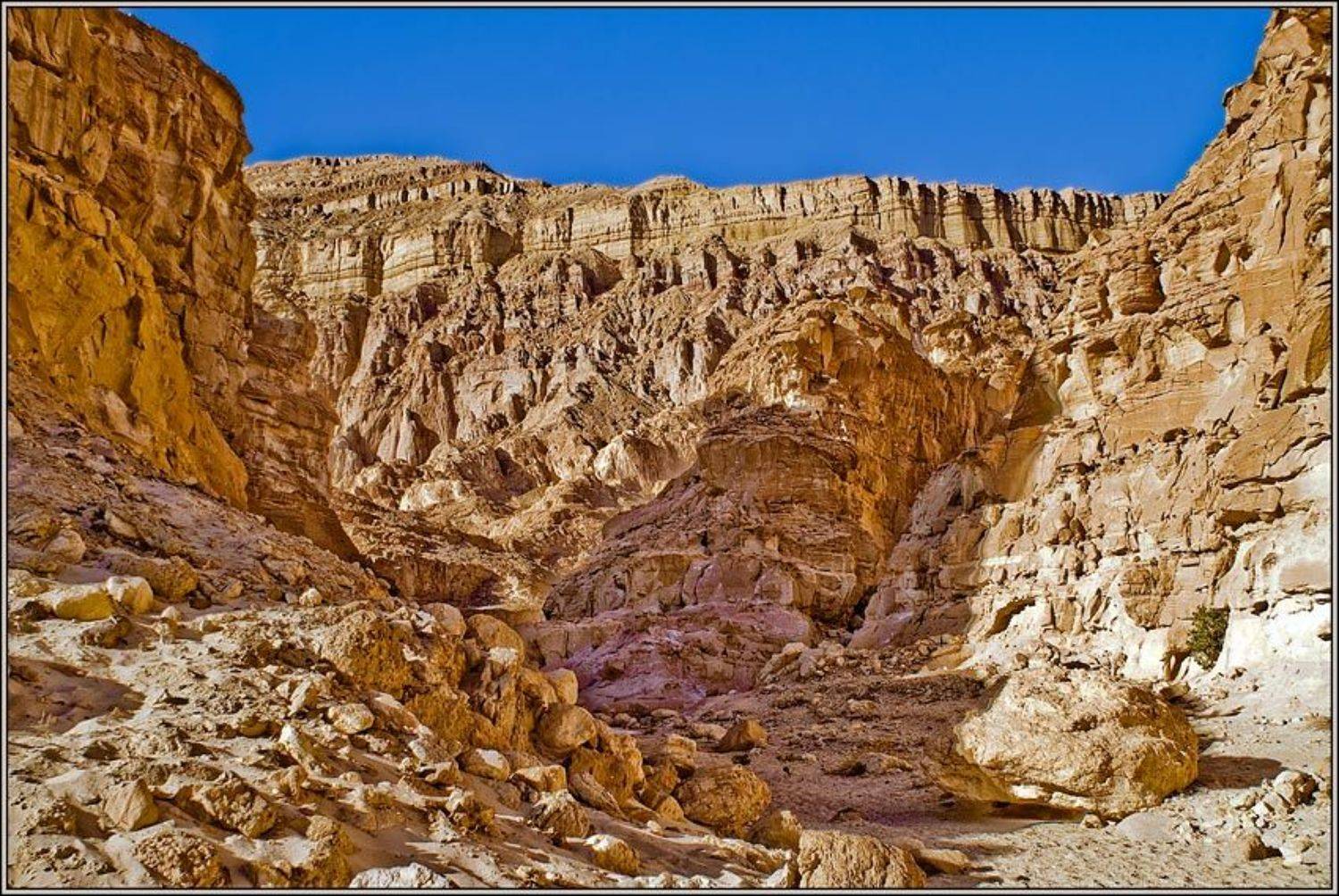 , Сергей Милицкий