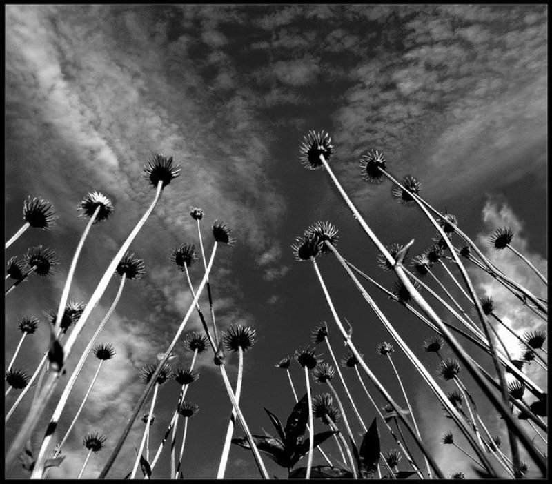 вопросы без ответов фото превью