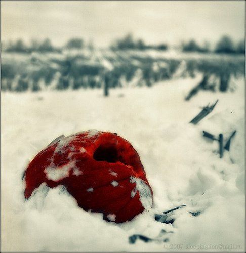 Жертва Хэллоуина