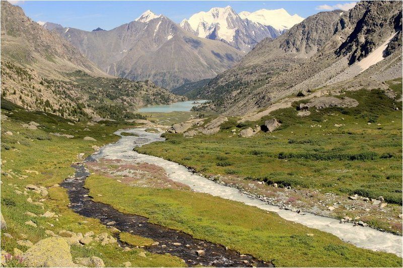 алтай, ледниковая река, горная река, дарашколь, белуха  фото превью