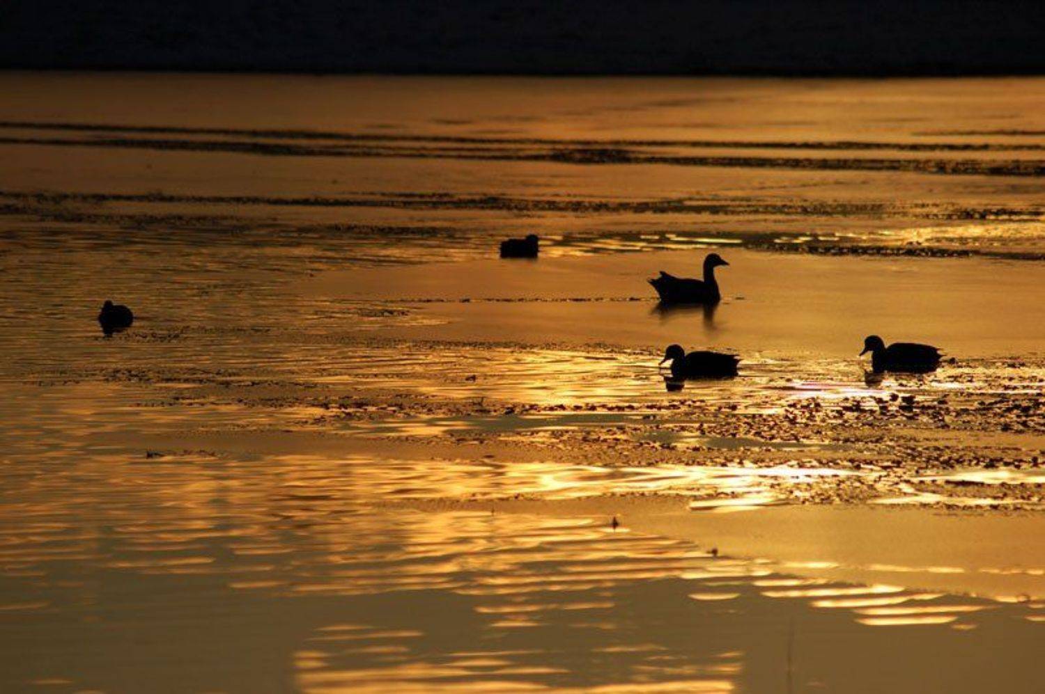 пейзаж, природа, mr.Umka