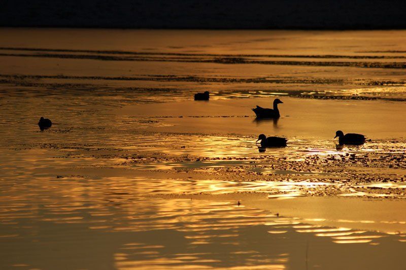 пейзаж, природа Sold/Gold Lake фото превью