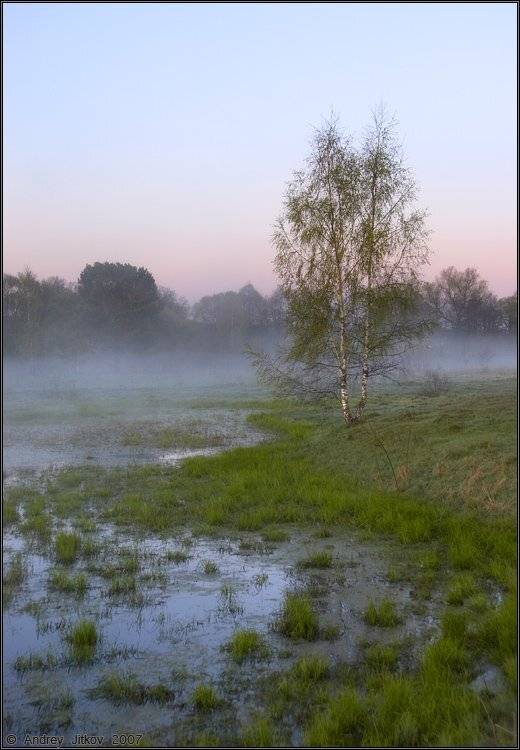 утро, болото, туман, пейзаж, Андрей Житков