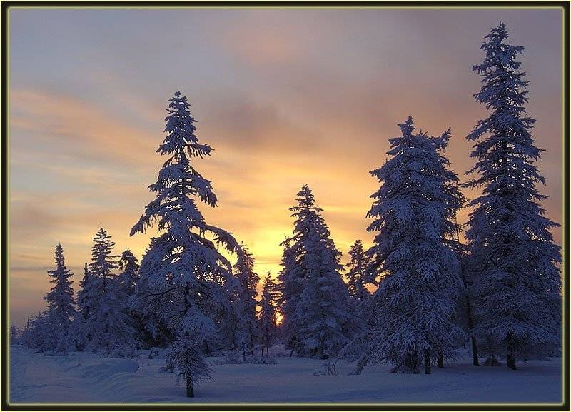 тайга зима заря заполярье, Солодухин Виктор
