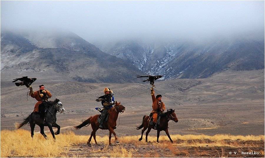 беркутчи, Вадько