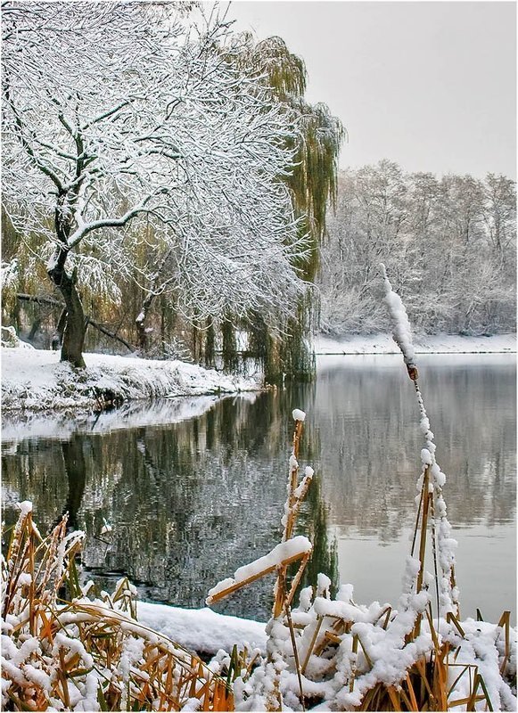 Тихая заводь фото превью