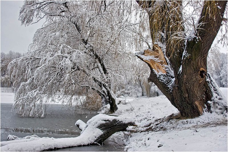 Зима жизни фото превью