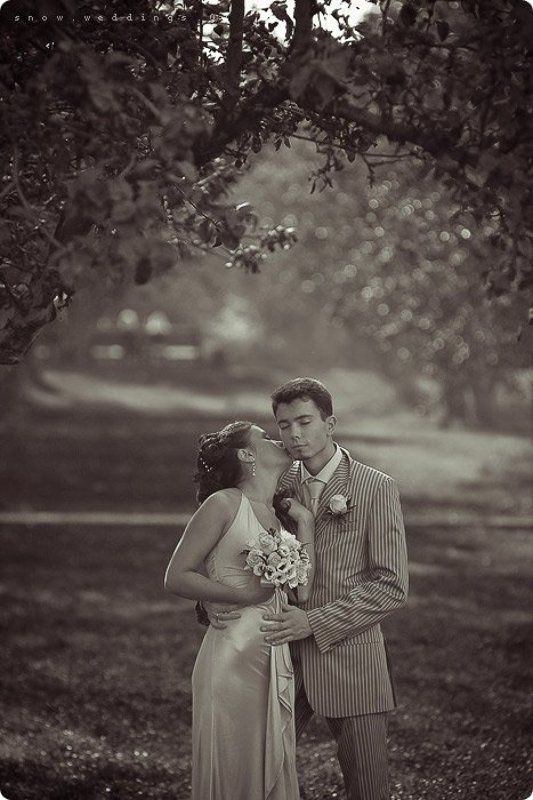 .anatomy of kiss p3 фото превью