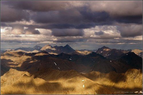 Что видят белоплечие орланы?