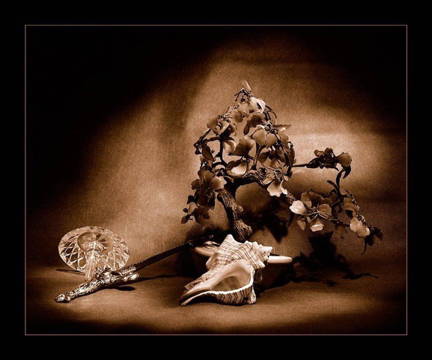 световая кисть, натюрморт, сепия, Капустин Николай