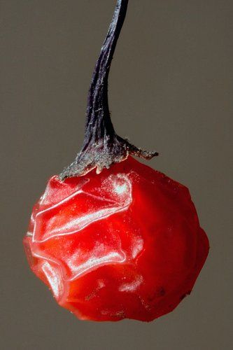 Китаёский фонарик