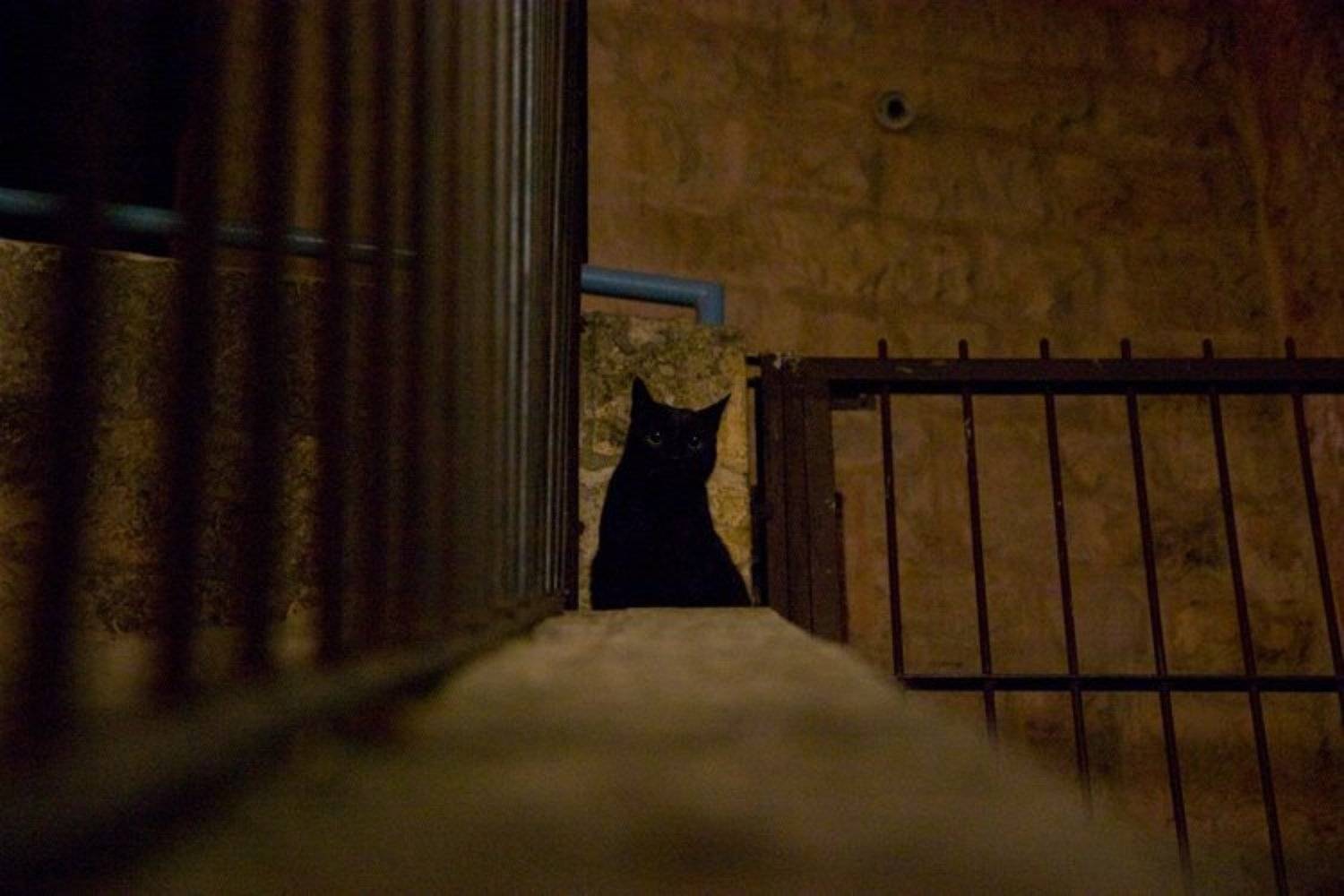 igalsc, genre, raw, IgalSc